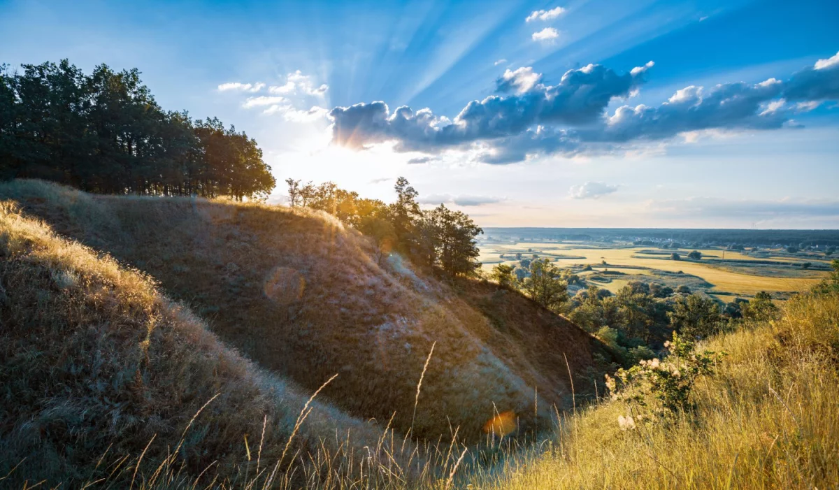 Jak złożyć sprawozdanie BDO z przyjemnością?