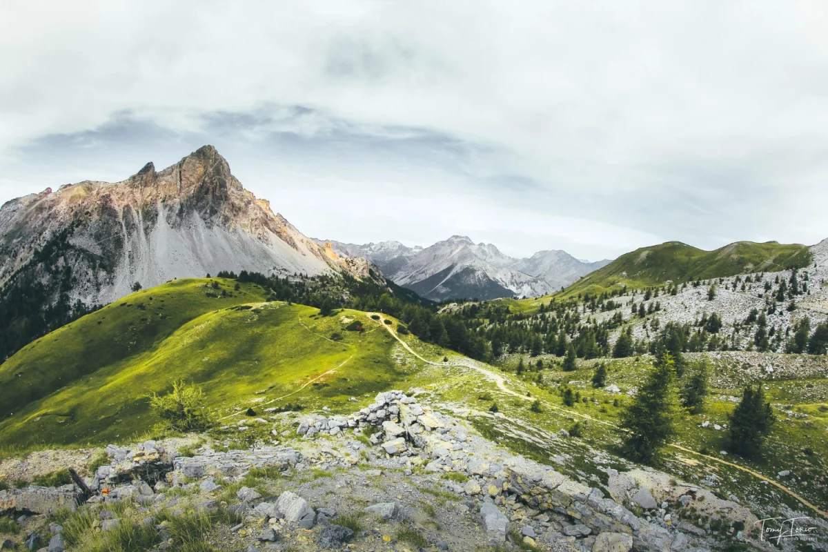 Metody jak dobrze wprowadzić technologię