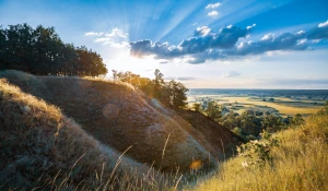 Czy w 2023 jeszcze warto  wypożyczyć meble w Katowicach?