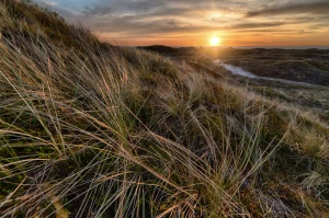 Czy raportować do cbam jest łatwo?