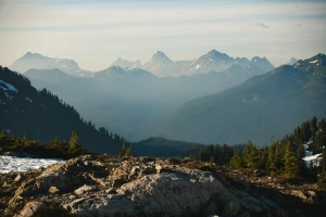 Czy można odnowić boazerię wieczorem?